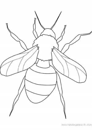Раскраска оса
