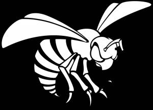 Раскраска оса для детей