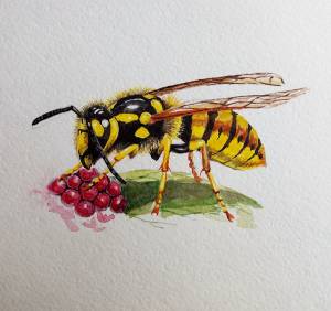 Оса детский рисунок