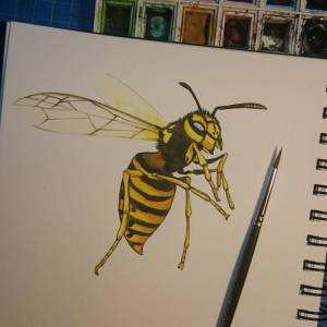 Оса детский рисунок