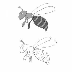 Раскраски Оса для детей