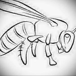 Рисунок оса для детей карандашом