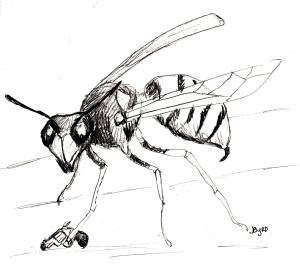 Рисунок оса для детей карандашом