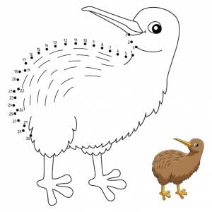 Точка за точкой киви животное раскраски для детей