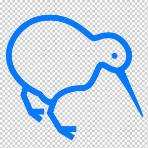 Bird Computer Icons Новая Зеландия Северный остров коричневый киви Киви, киви, угол, птица, фрукты Орех png