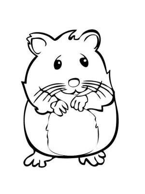 Раскраски Хомяк