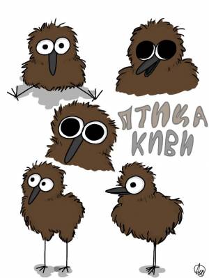 Птица киви