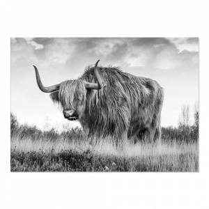 Bison Buffalo Bulls Юго-западные принты, американский Зимний снег, животные, настенный плакат, дикая природа, детская комната, Западный Декор
