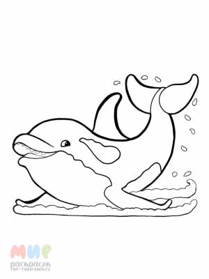 Раскраска Дельфин водный мир