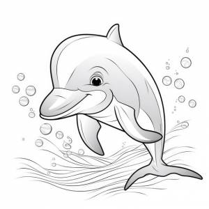 Dolphin delight