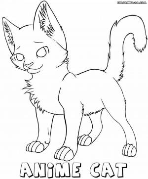 Раскраски котик из лайка