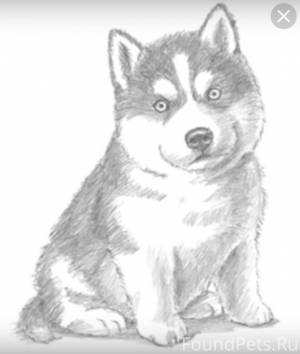 Рисунок лайка