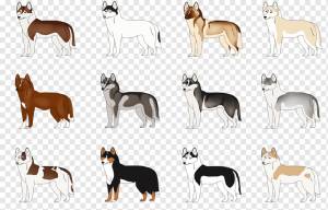 Собака породы Сибирский Хаски Мустанг Арт, рисунок хаски, лошадь, carnivoran, собака Like Mammal png