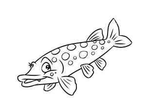 Раскраска Щука