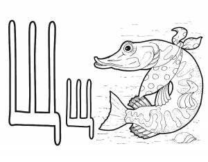 Раскраски Раскраска Щука щука детские