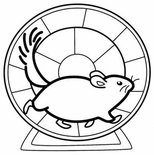 Раскраски Хомяк