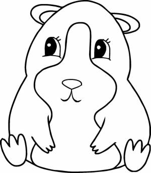 Раскраски Хомяк