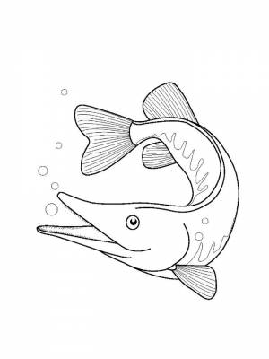 Картинка рыба Щука