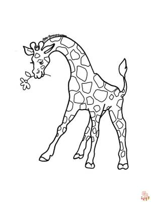 Раскраски Top Giraffe для детей