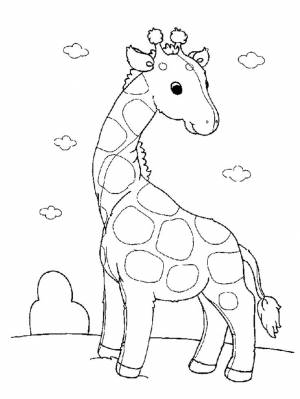 Giraffe coloring pages, Zoo animal coloring pages, Zebra coloring pages
