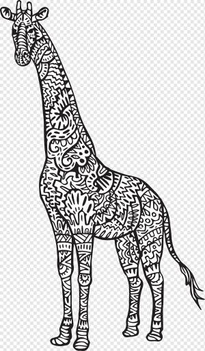 Baby Giraffes Сетчатый жираф Раскраска для взрослых Рисование жирафа, млекопитающее, ребенок, животные png