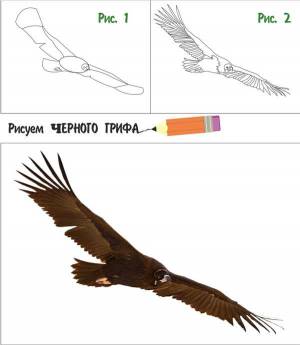 Урок 6
