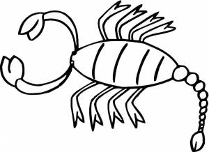 Раскраски скорпион, Раскраска Скорпион скорпион
