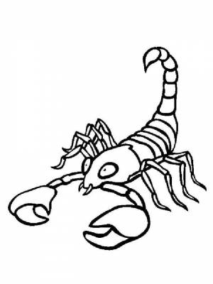 Раскраски Скорпион   в формате