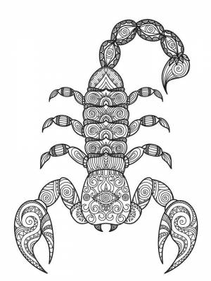 Раскраска Скорпион Антистресс  листе  для детей