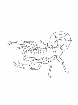 Раскраски Скорпион   в формате