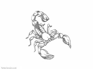 Раскраски Раскраска Скорпион Ракообразные Морские обитатели