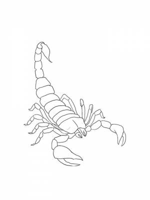 Раскраски Скорпион   в формате