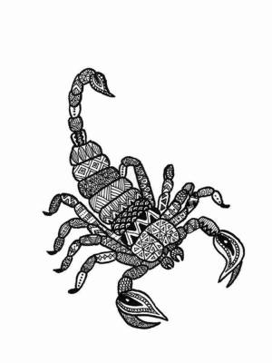Раскраски Скорпион Антистресс