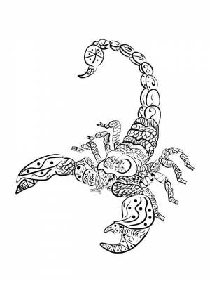 Раскраска Скорпион Антистресс  в формате