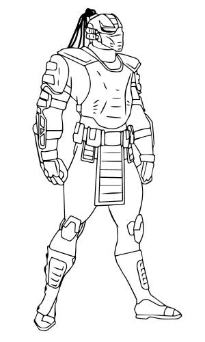 Сектор из Мортал Комбат