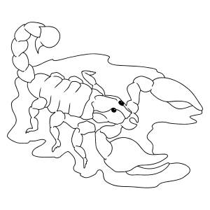 Раскраска черный скорпион