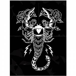 Знак зодиака скорпион на черном фоне 75х100 Раскраска картина по номерам на холсте KTMK-scorpio02-75x100