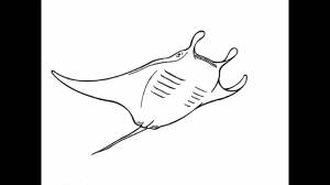 How to Draw a Skate