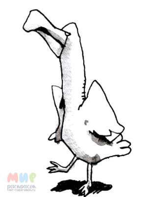 Раскраска Альбатрос