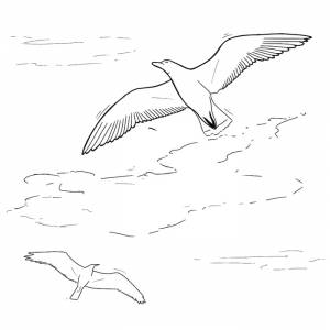 Иллюстрация Альбатрос в стиле книжная графика