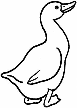 Раскраска Гусь 3