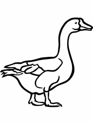 Раскраска Гусь