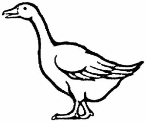 Раскраски гусь раскраска