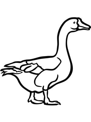 Раскраска Гусь