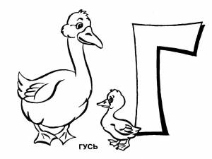 Раскраски гусь птицы гусь