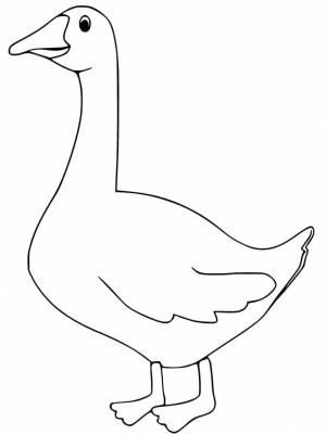 Раскраска Легкий Гусь 2