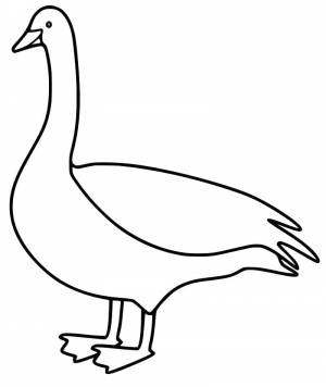 Раскраска Легкий Гусь