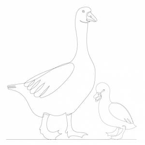 Dibujo de ganso por un boceto de línea continua