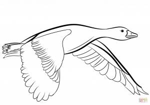 Dibujo de Ganso Volando para colorear