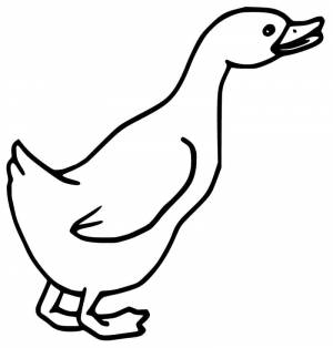 Раскраска Легкий Гусь 5